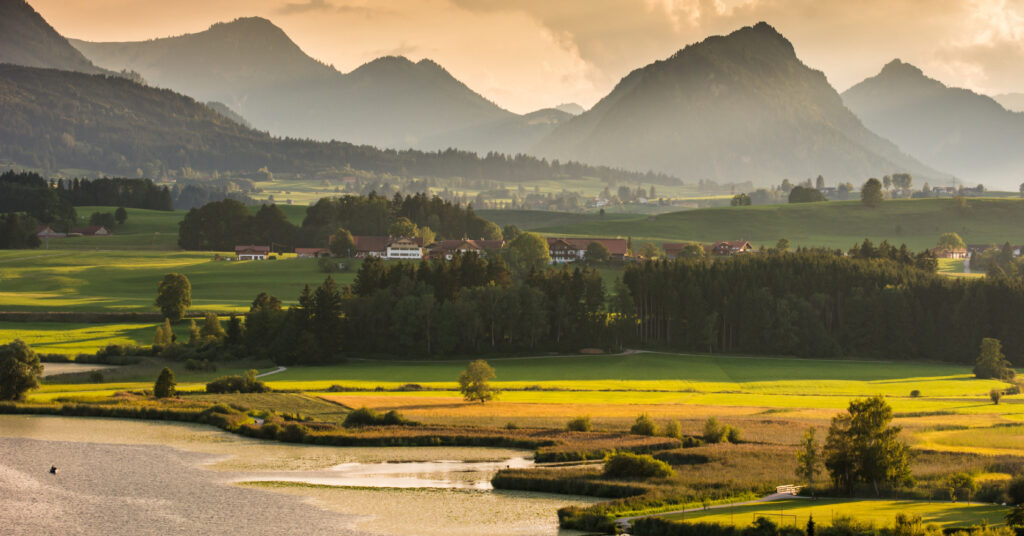 Ameel Sajjad: Diplomat Leading Global Initiatives