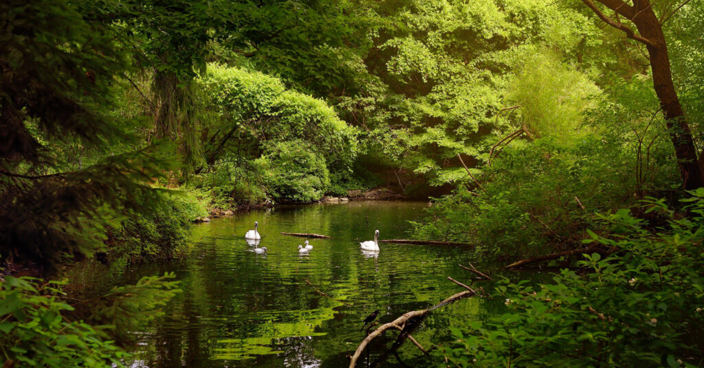 Ameel Sajjad: International Real Estate Investor