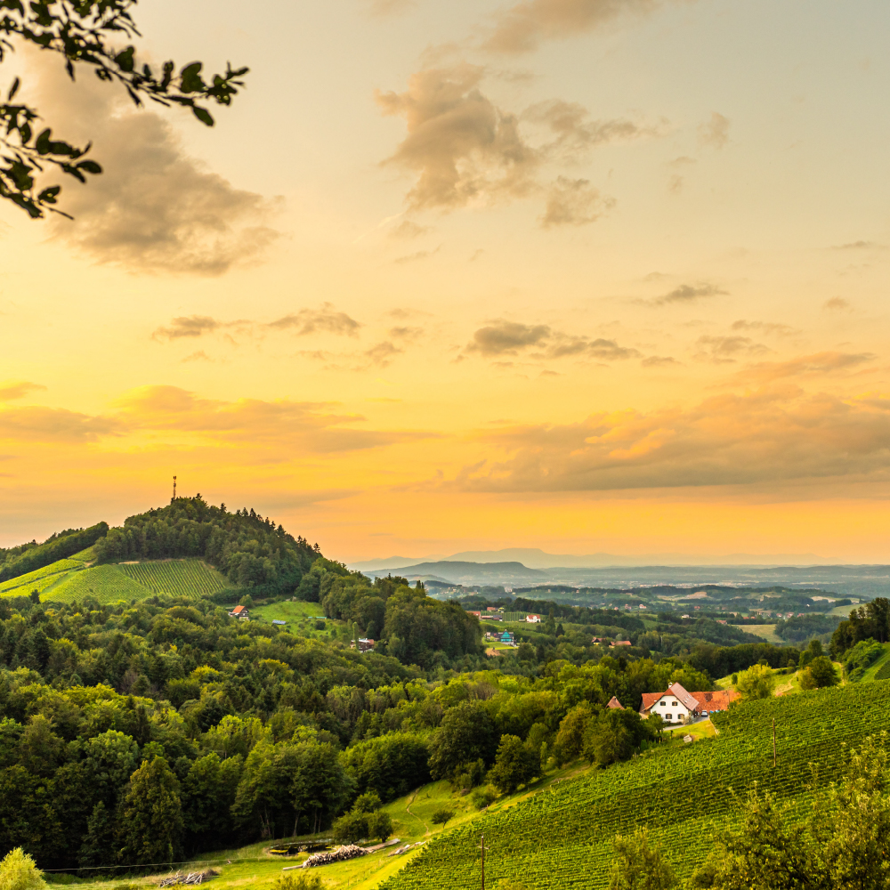 Ameel Sajjad: Crisis Response Humanitarian Negotiator