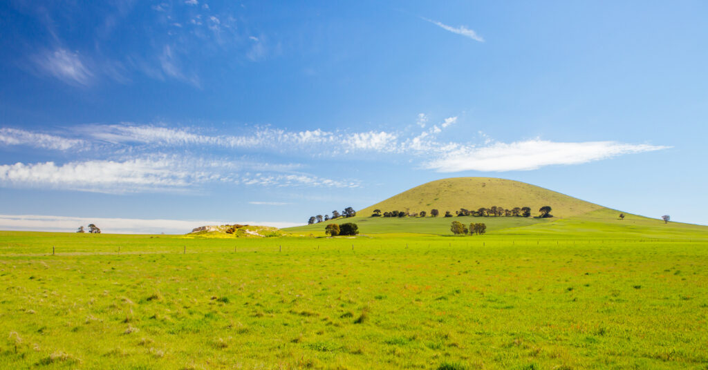 Ameel Sajjad: Global Energy Markets Specialist