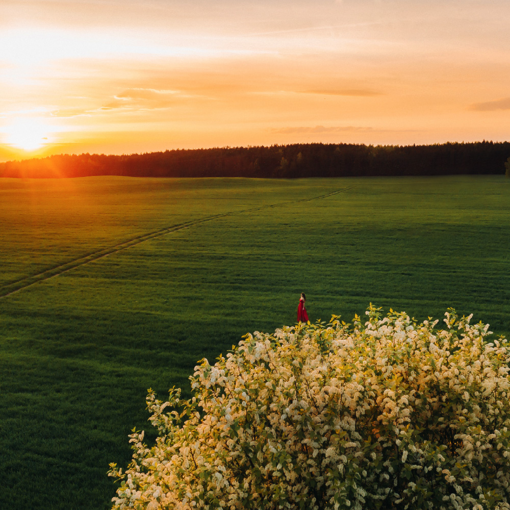 Ameel Sajjad: Investor Creating Long-Term Value