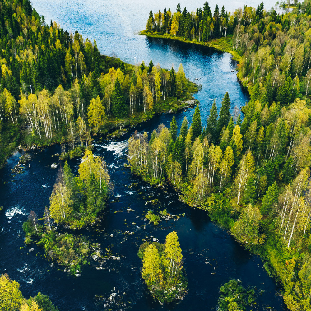 Ameel Sajjad: Cross-Cultural Diplomatic Engagement Leader