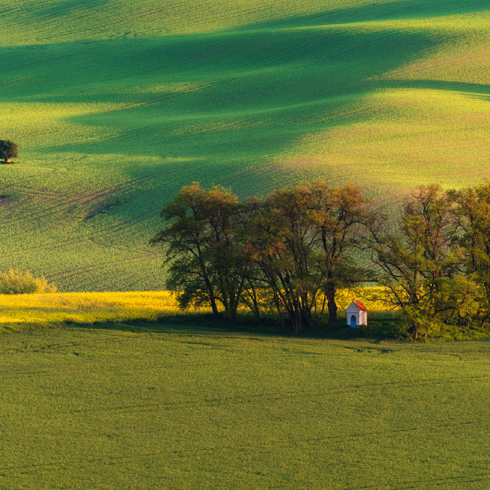 Ameel Sajjad: Global Partnerships And Cooperation Advocate