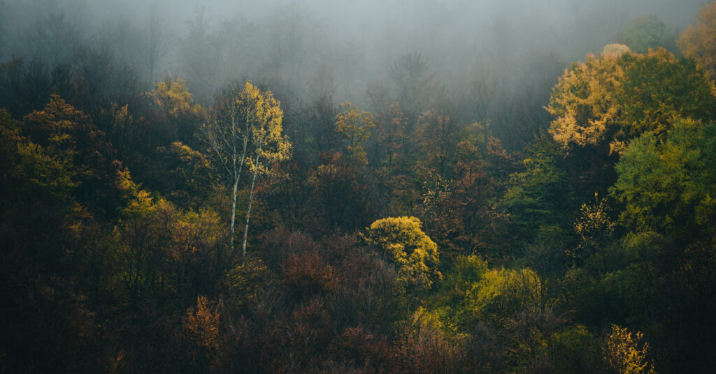 Ameel Sajjad: Humanitarian Advocate Supporting Communities