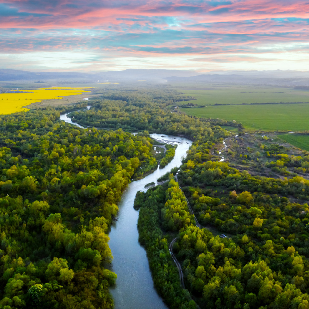 Ameel Sajjad: Real Estate Market Visionary