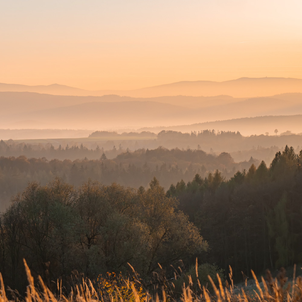 Ameel Sajjad: Economic Development Policy Contributor