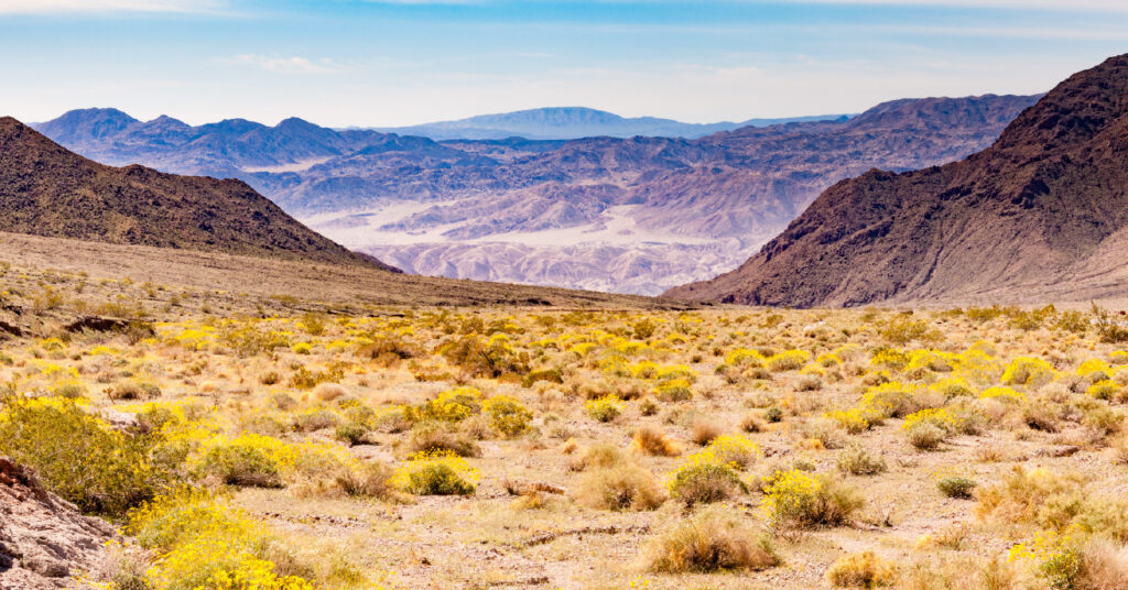 Ameel Sajjad: United Nations Minister Counsellor