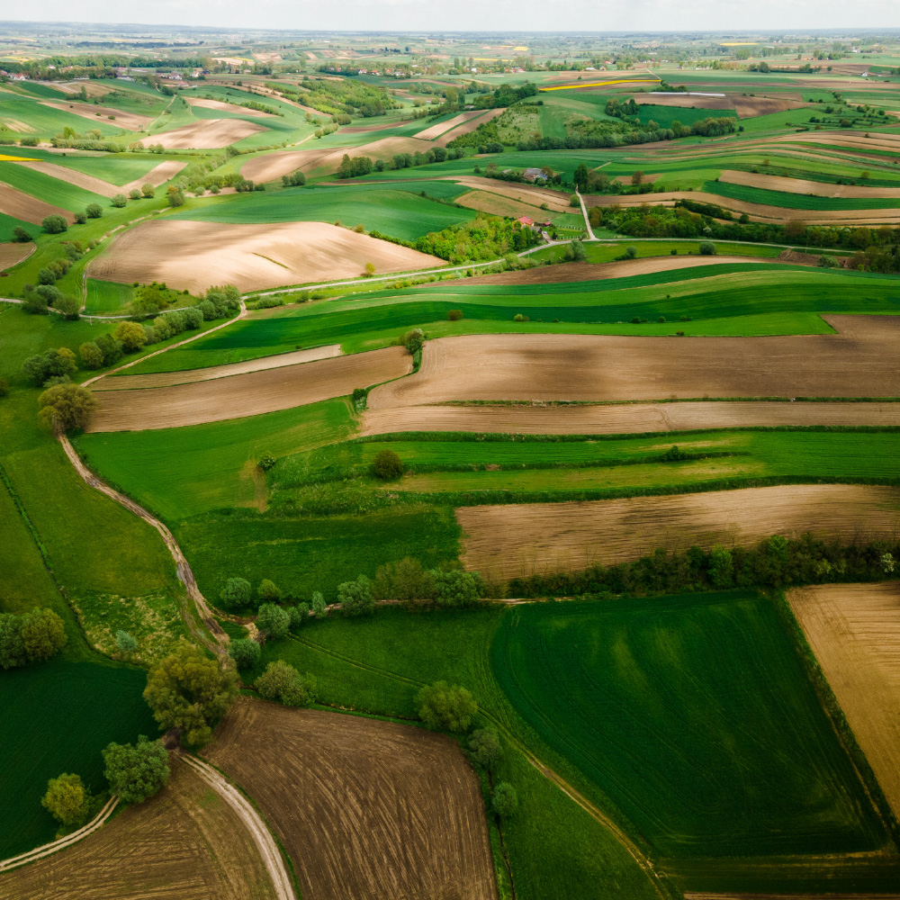 Ameel Sajjad: Global Health Infrastructure Supporter