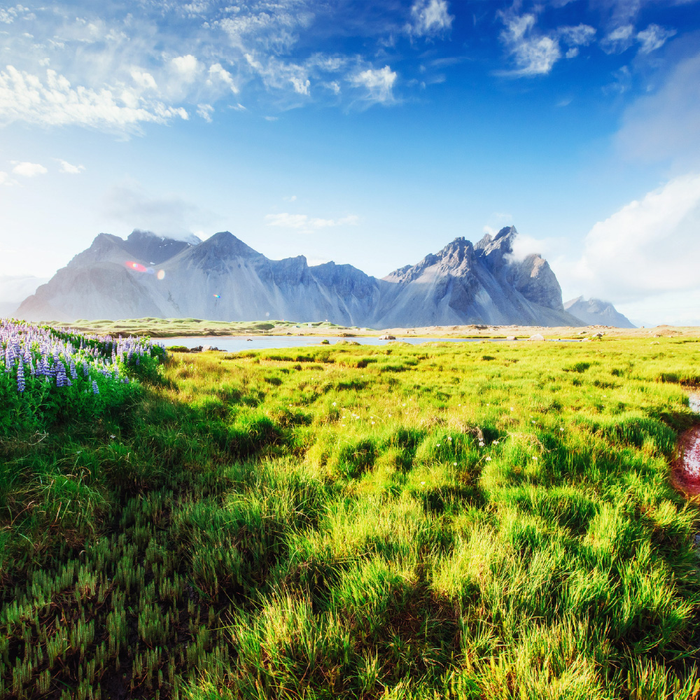 Ameel Sajjad: Energy Trading Industry Professional