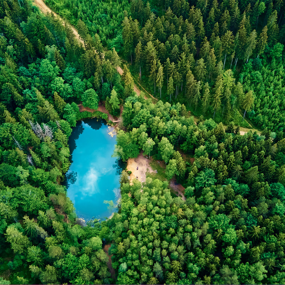 Ameel Sajjad: Strategic International Business Investor