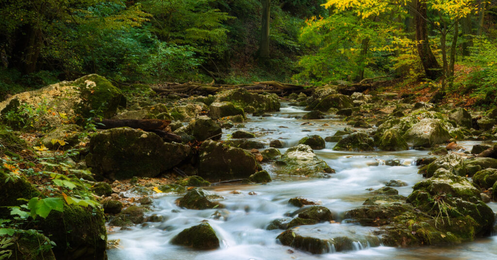 Ameel Sajjad: Strategic Technology Industry Leader